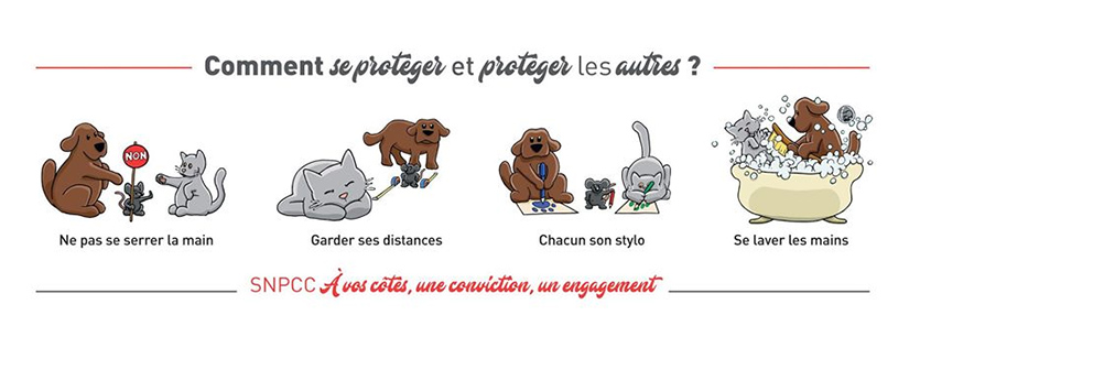 nouveau bandeau nouveau bandeau