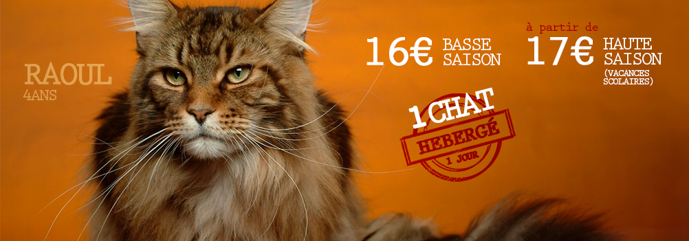 nouveau bandeau nouveau bandeau