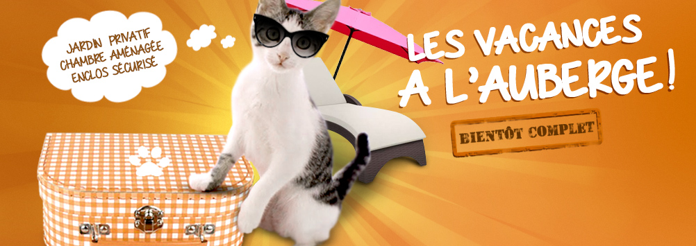 nouveau bandeau nouveau bandeau